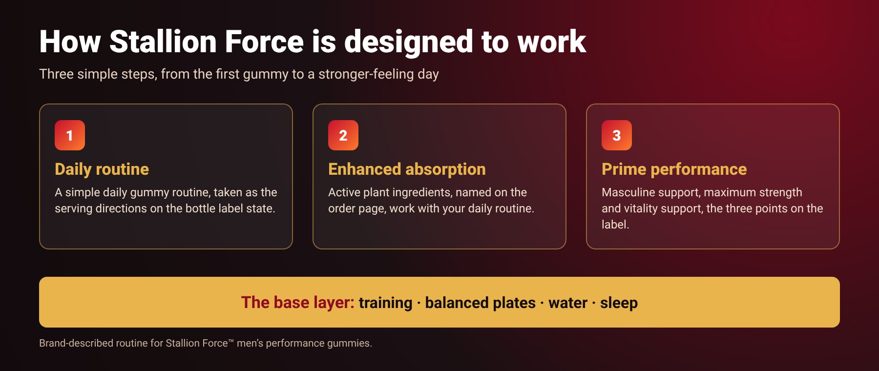 Infographic: a daily Stallion Force routine, enhanced absorption and prime performance support in three steps
